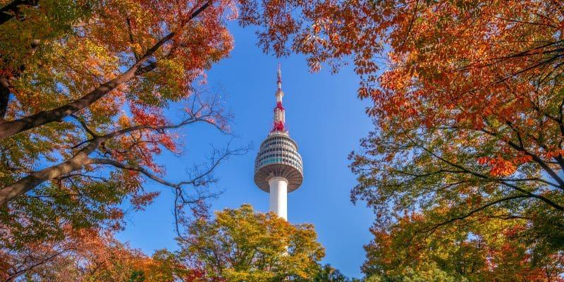 Top Seoul Hostels for Solo Travelers: Comfort & Budget-Friendly